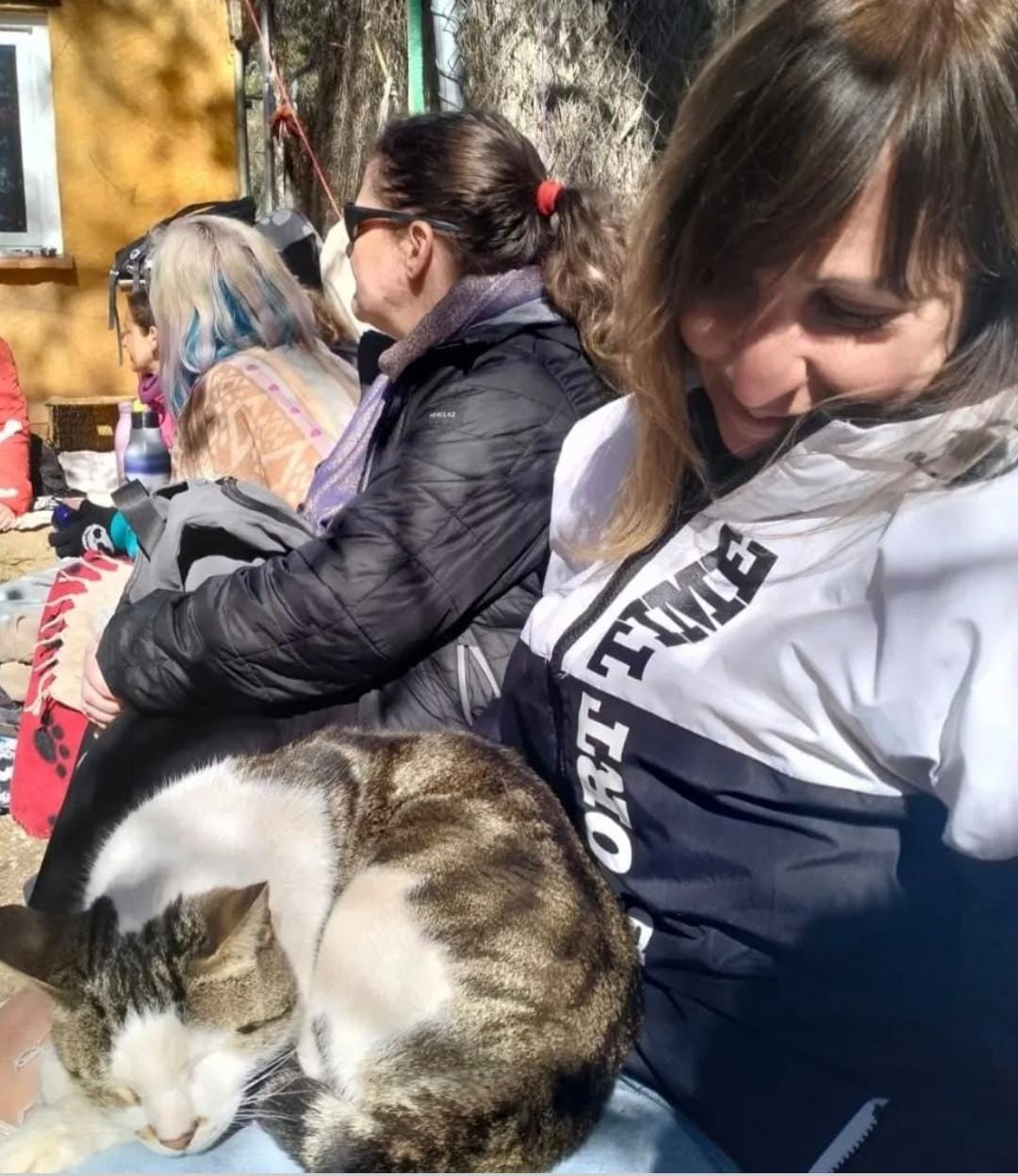 Feline care session in Cornellà de Llobregat